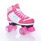 SUNNY LEAF quad skate