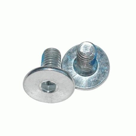 SCREW for chassis (2 pcs) diameter 6 mm