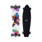 FISH longboard