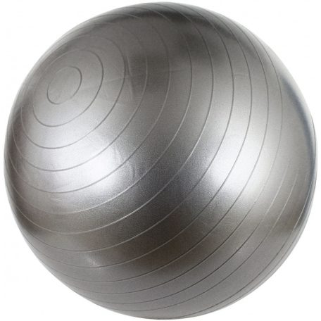 Avento ABS Gym Ball gimnasztika labda, 55 cm, ezüst