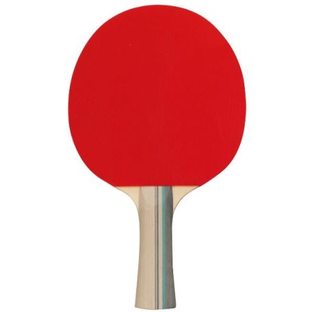 Schreuders 2 Stars ping-pong ütő