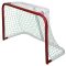 Small Goal ice hockey variant 29719