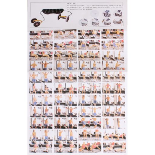 Multi Roller exercise wheel variant 32880