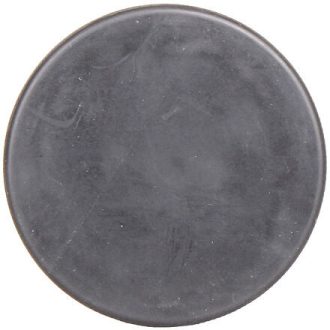 Panther hockey puck dimension senior