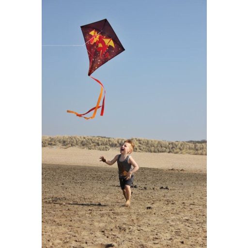 Dragon kite variant 39400