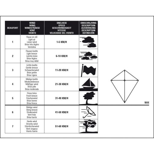 Dragon kite variant 39400