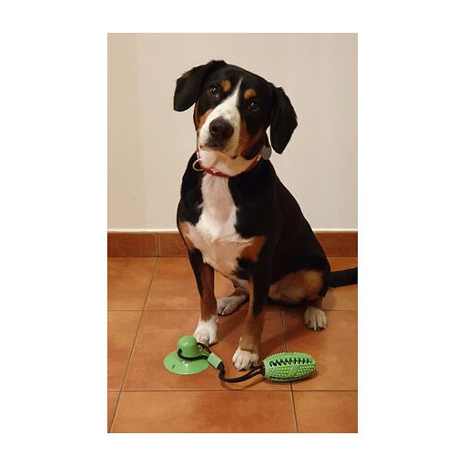 Kutyajáték zöld változat 40021