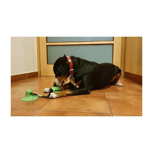 Kutyajáték zöld változat 40021