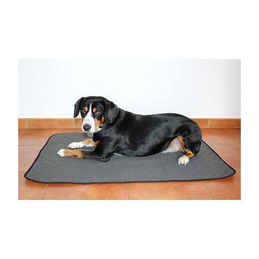 Paddog dog pad grey dimension M
