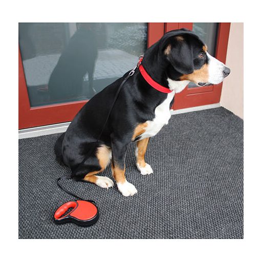 Freemove kutyapóráz piros, 3 m hosszú