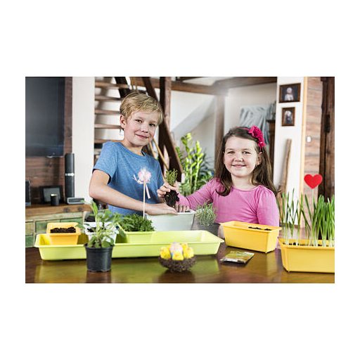 Minigarden 60 tavaszi keverék szett 41165 változat