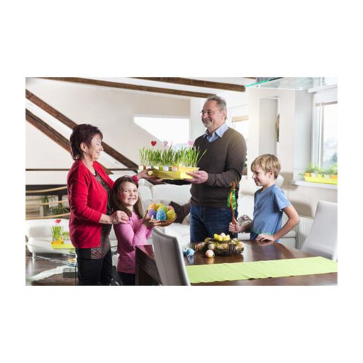 Minigarden 60 tavaszi keverék szett 41165 változat