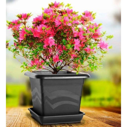 Quattro flower pot brown length 40 cm