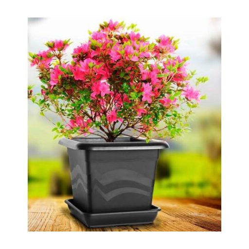 Quattro saucer for flower pot brown length 20 cm