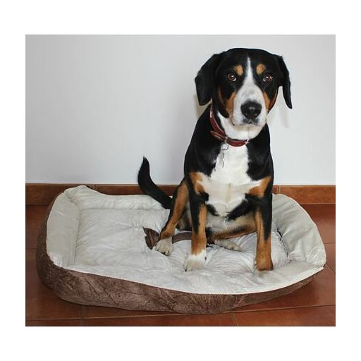 Comfy dog bed brown dimension S