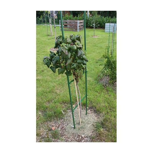 Kerti rúd 11 mászóállvány, hossza 75 cm