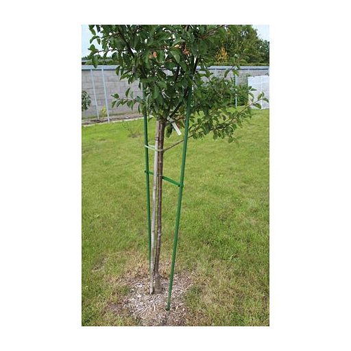 Gardening Pole 16 climbing stand length 75 cm