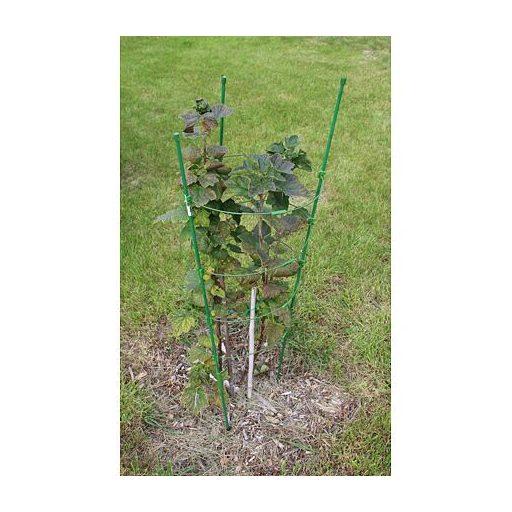 Climber plant climbing frame length 90 cm