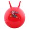 Hom Jump jumping gymnastic ball red diameter 65 cm