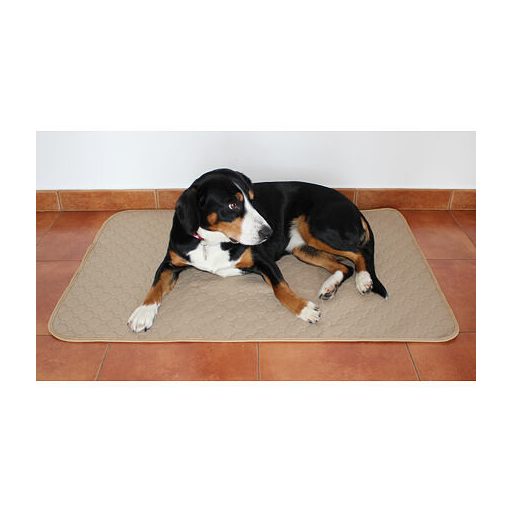 Paddog dog pad beige dimension M