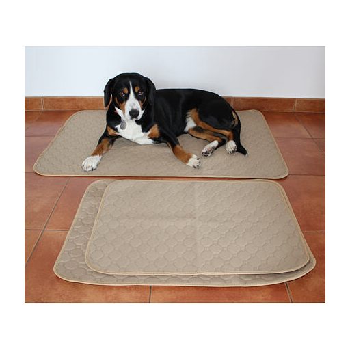 Paddog dog pad beige dimension M