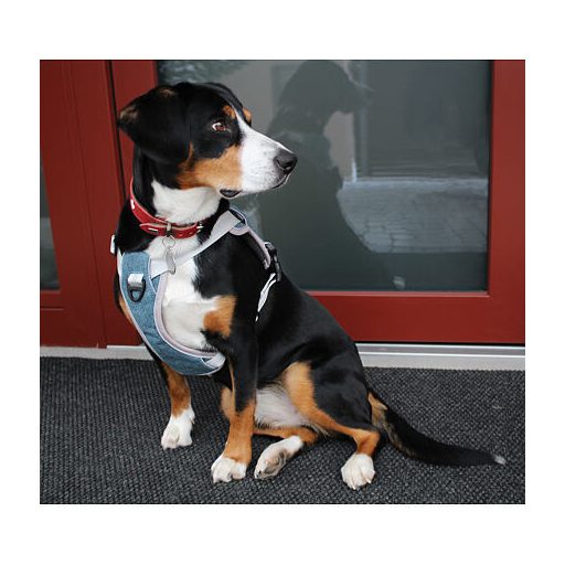 Hálós kutyahám kék méret XL