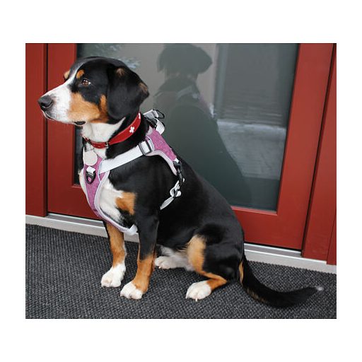 Hálós kutyahám lila méret XL