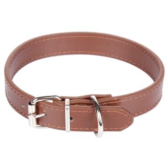 Dog Leash dog collar brown dimension L