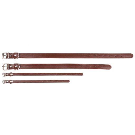 Dog Leash dog collar brown dimension L