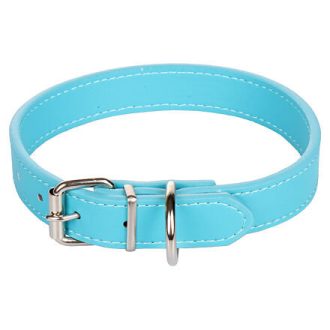 Kutyapóráz kutyanyakörv kék méret S
