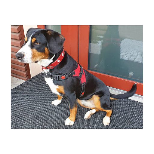 Testhezálló kutyahám piros méret XL