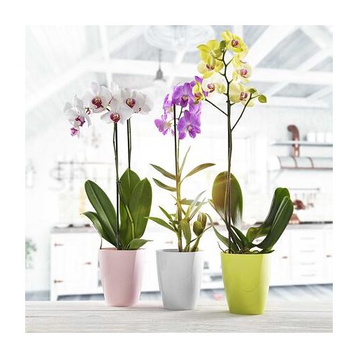 Ornella díszes virágcserép lime átmérőjű 15 cm