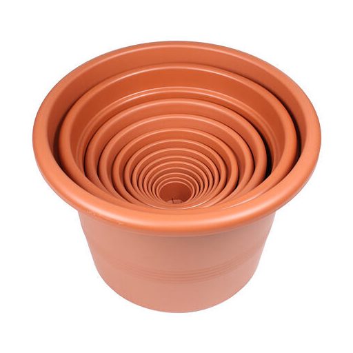 Campanula virágcserép terrakotta átmérője 15 cm