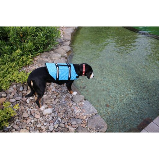 Dog Swimmer life jacket for dog blue clothing size M