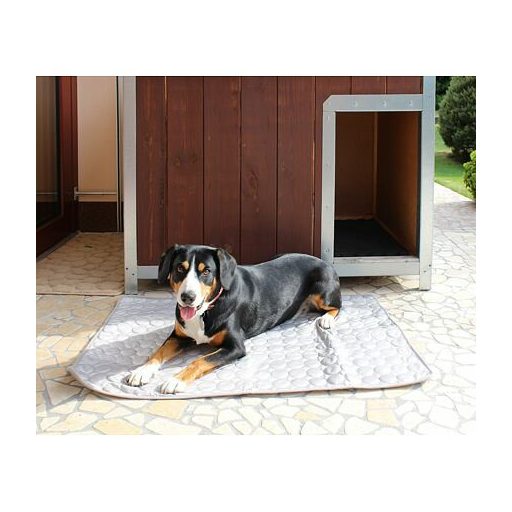 Ice Cushion kisállat hűtőpárna szürke méret M