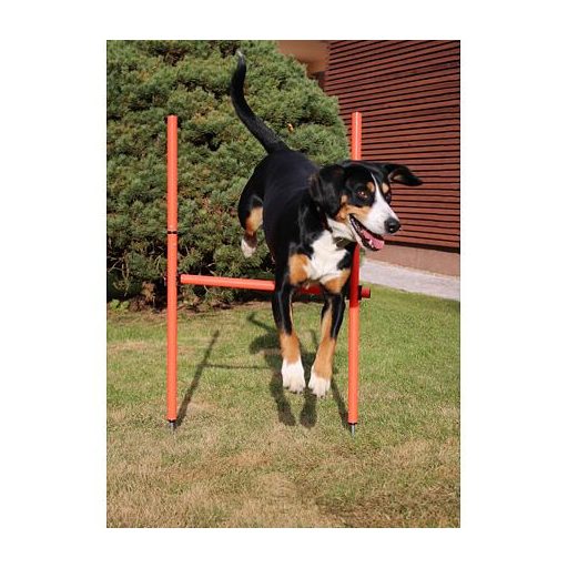 Kutyakiképző agility akadály kutyáknak csomagolás 1 szett