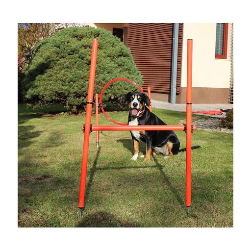 Kutyakiképző agility akadály kutyáknak csomagolás 1 szett