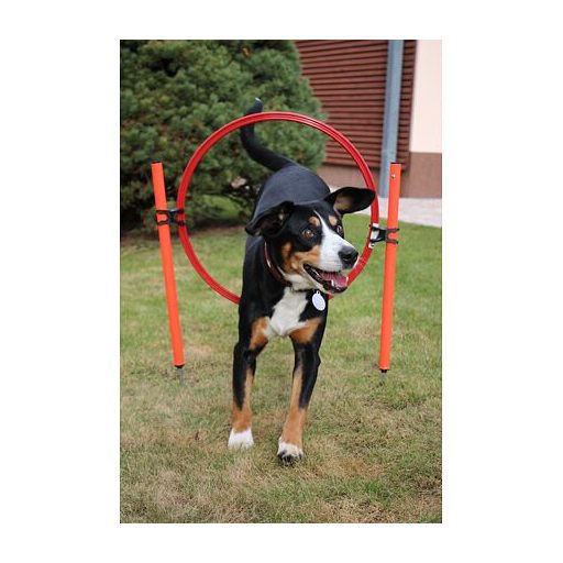 Kutyakiképző agility akadály kutyáknak csomagolás 1 szett