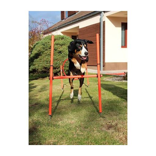 Kutyakiképző agility akadály kutyáknak csomagolás 1 szett