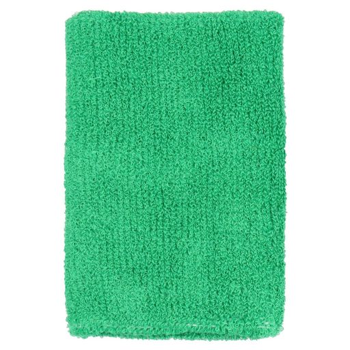 Absorb 12 sweatband color turquoise