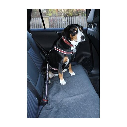 Safer 1.0 kutyabiztonsági öv, zöld színben