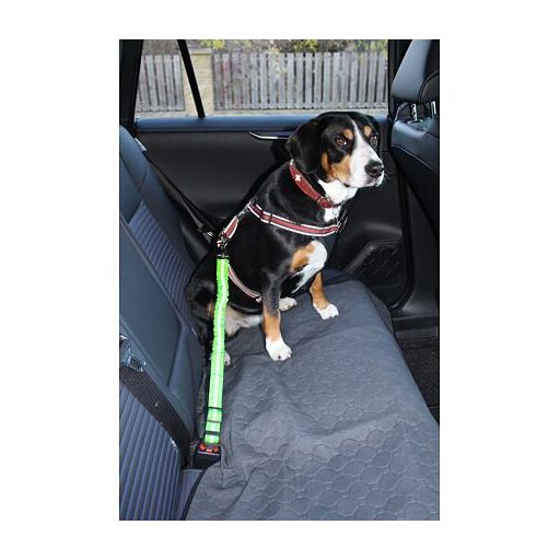 Safer 1.0 kutyabiztonsági öv, zöld színben