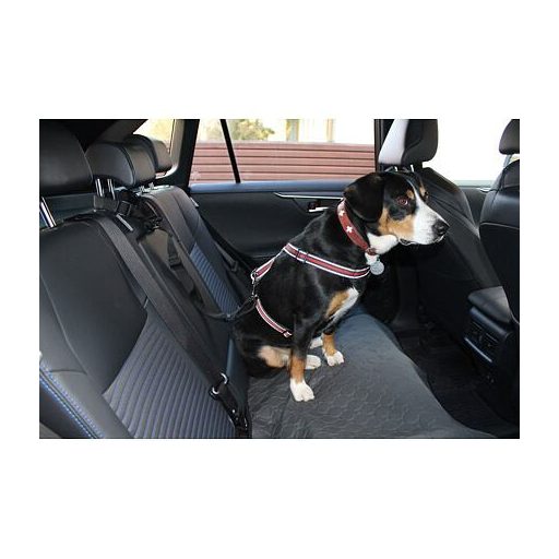 Safer 2.0 kutyaülés öv, fekete színben