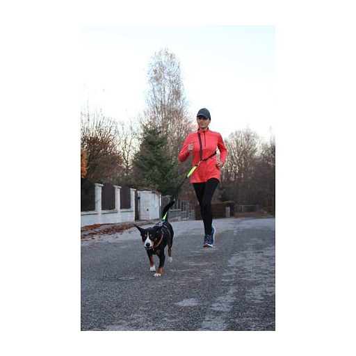 Runner Buddy 2.0 futókutya póráz zöld színben