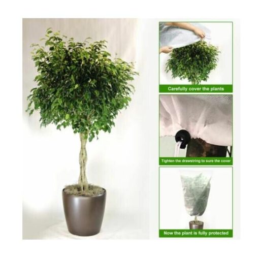 Plant Cover 80x120 protection for plants color white