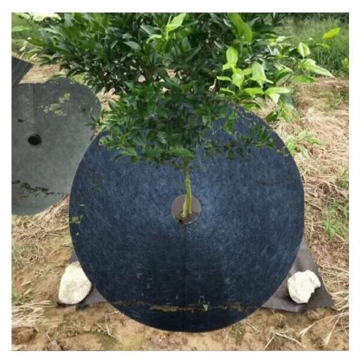 Mulching fabric circle 10 pcs diameter 72 cm