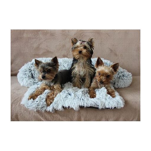 Petosofa kutyafekhely világosszürke, L-es méret