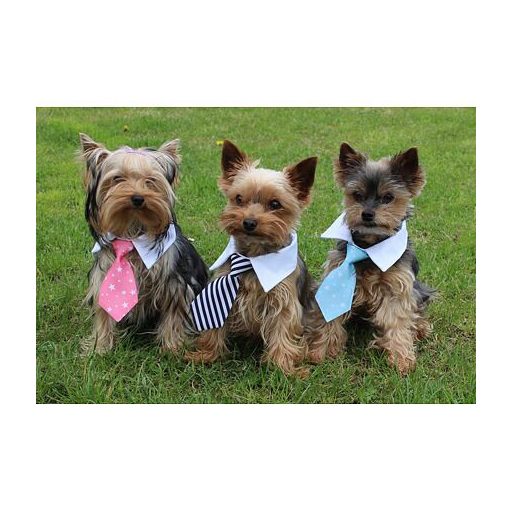 Gentledog kutyanyaklánc rózsaszín ruha S-es méret