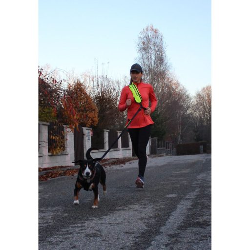 Runner Buddy 1.0 running dog leash yellow packaging 1 pc