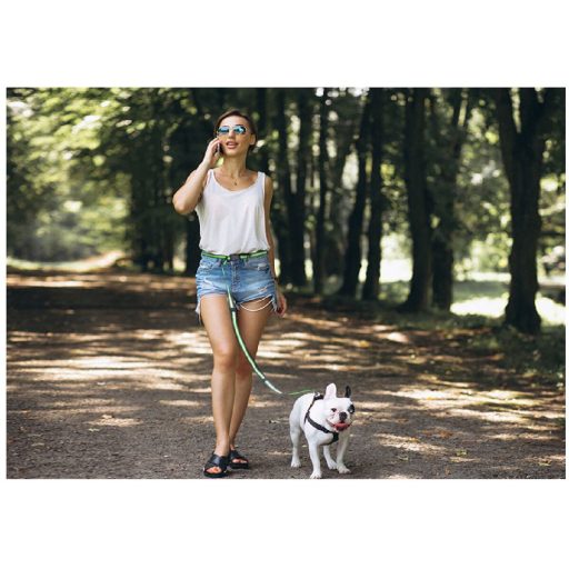 Runner Buddy 4.0 running dog leash blue packaging 1 pc